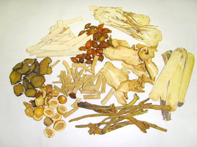 Chinese Herbs